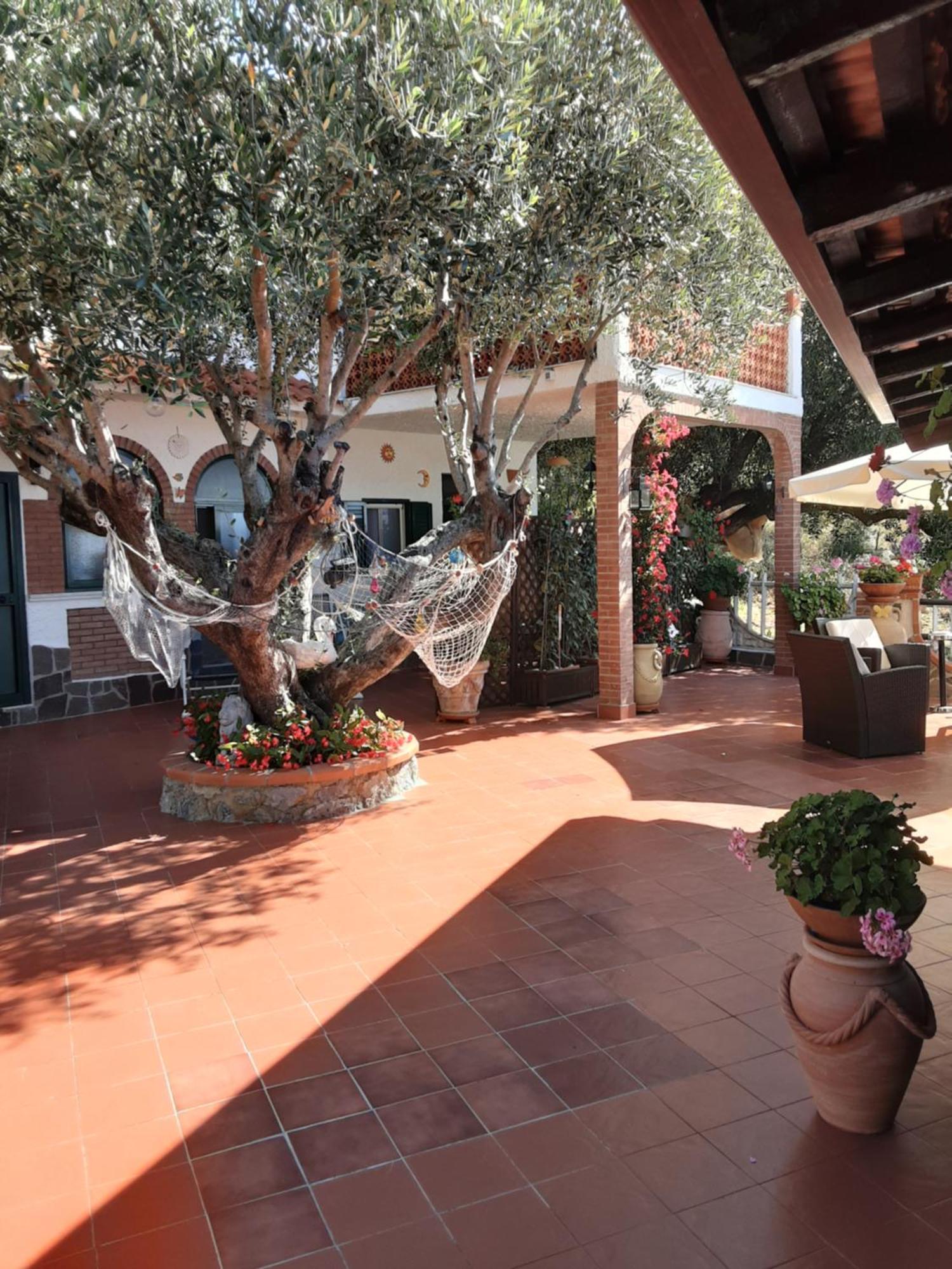 Baia Luna Holiday home Marina di Camerota