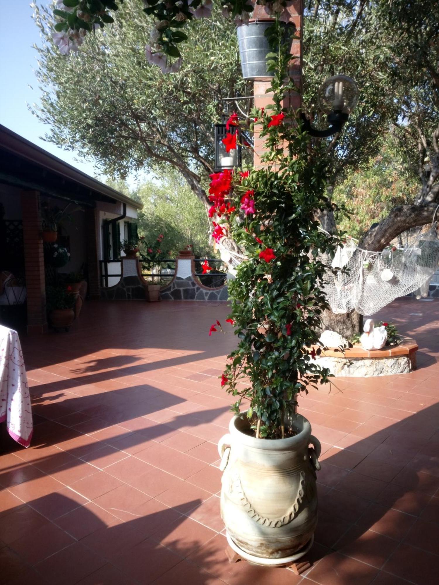 Holiday home Baia Luna *